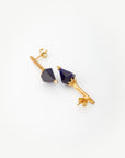 Essence Sodalite Earrings